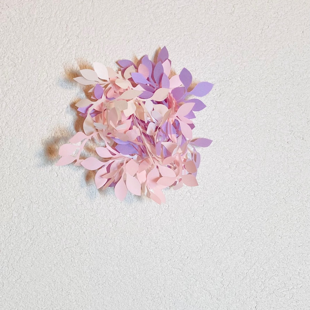 ƣ